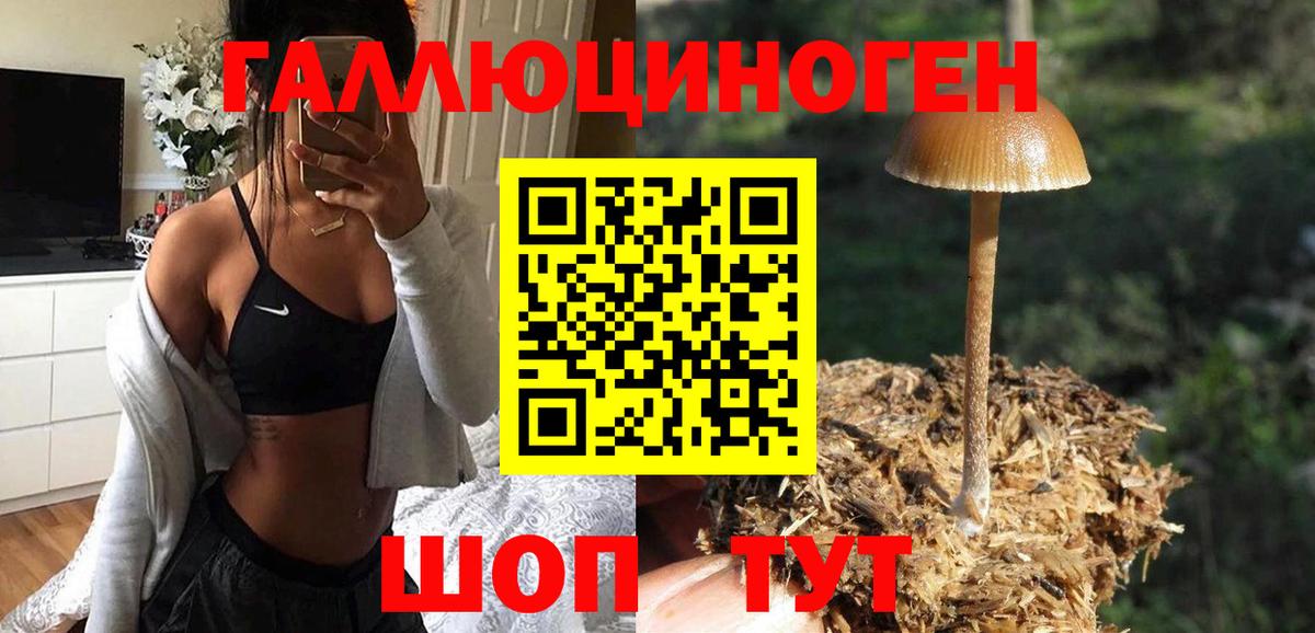 Псилоцибиновые грибы MAGIC MUSHROOMS  Псилоцибиновые грибы мицелий  Вход с VPN  купить   Вичуга 